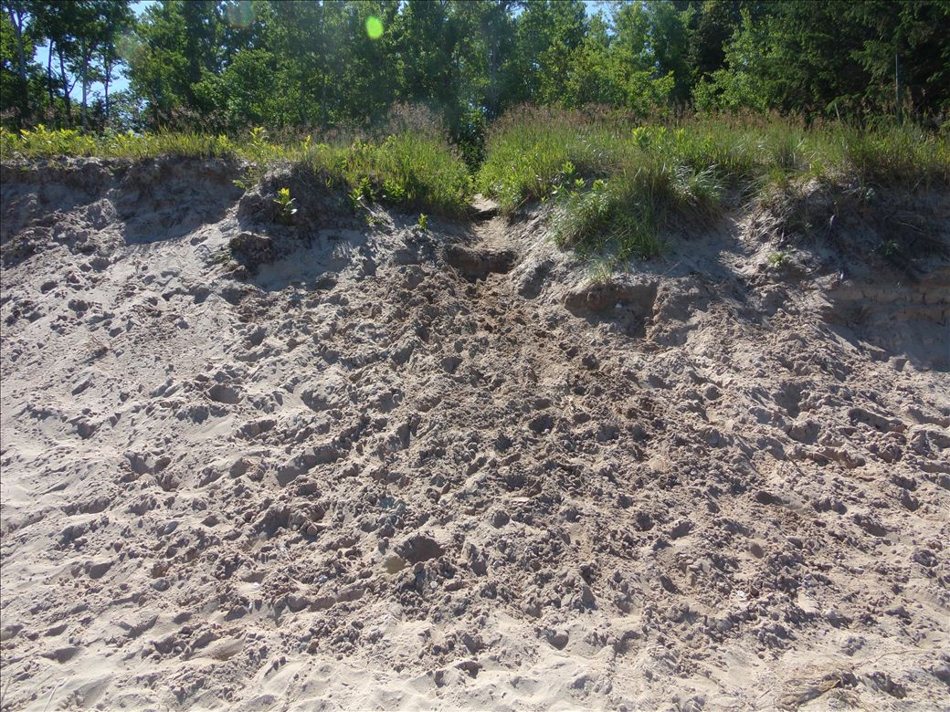 christmas_cove_6.jpg christmas_cove_6.jpg