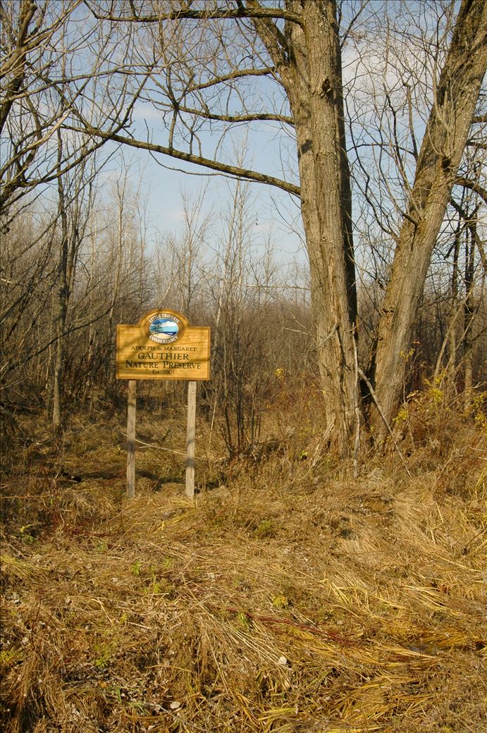 dsc_3429.jpg dsc_3429.jpg