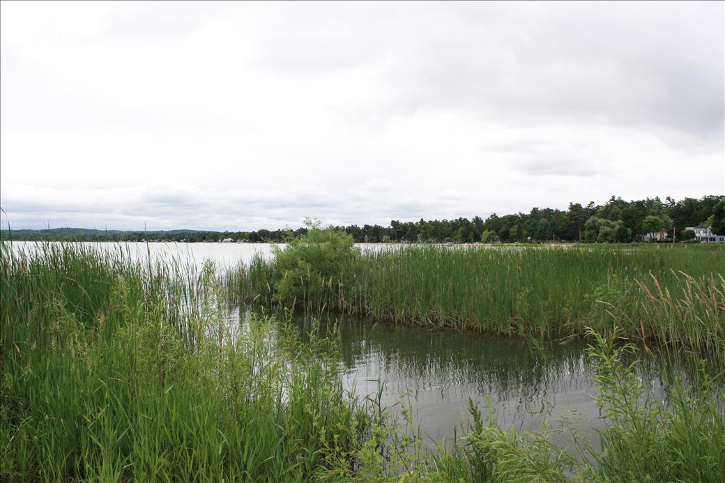 East Bay Park East Bay Park