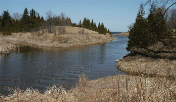gauthier_nature_preserve.jpg gauthier_nature_preserve.jpg