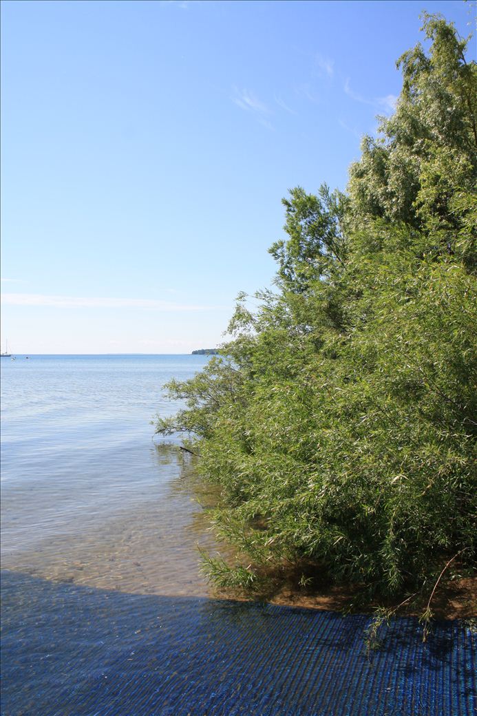 G. Marsten Dame Marina G. Marsten Dame Marina