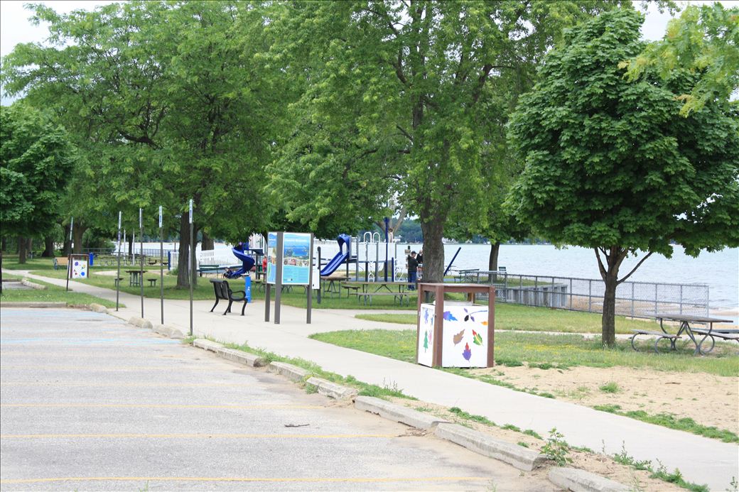 TC State park TC State park